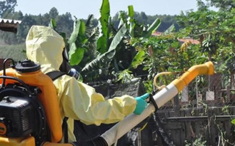 Dengue em Botucatu chega a 38 casos positivos