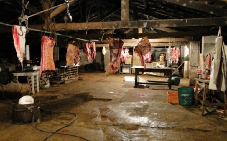 Abatedouro clandestino é fechado durante operação em Angatuba