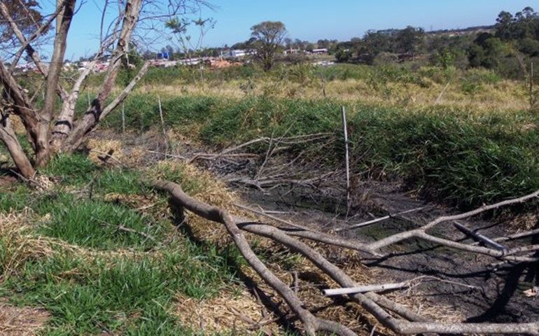 CONSEQUENCIA DO VAZAMENTO DE ESGOTO NO B. DO CAMARGO POR MAIS DE 63 DIAS.