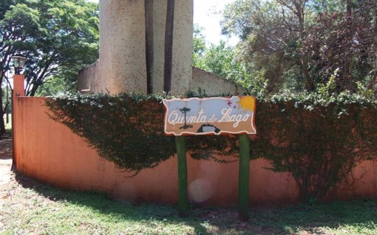 Na Ilha Verde também existe área verde invadida.