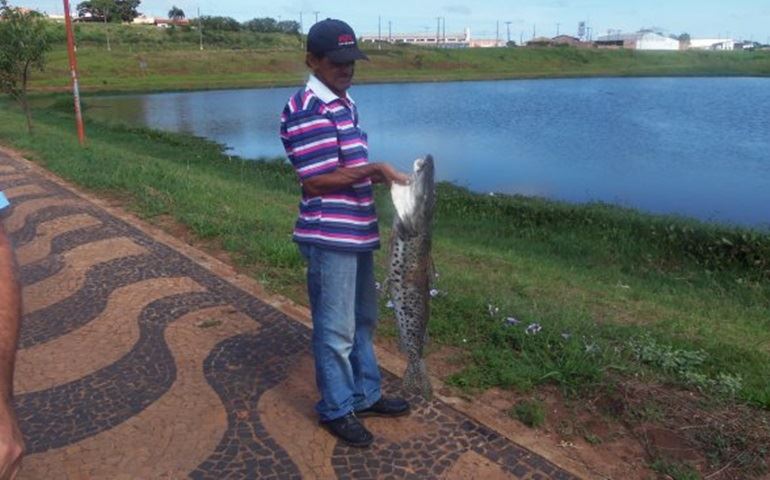 Peixes amanheceram boiando no lago da Brabância hoje.