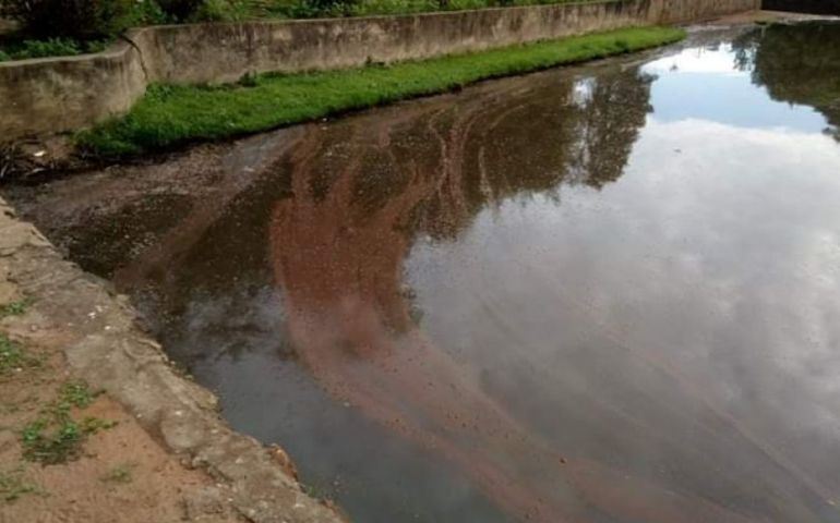 Poluição no Horto Florestal chama a atenção