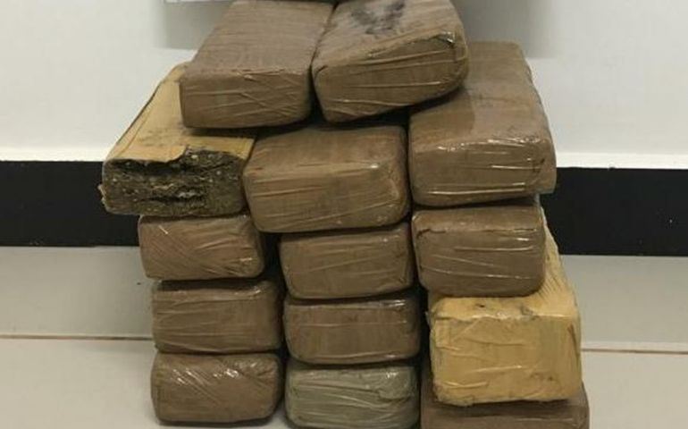 Passageiro de ônibus é preso ao ser flagrado com tijolos de maconha escondidos em bagagem