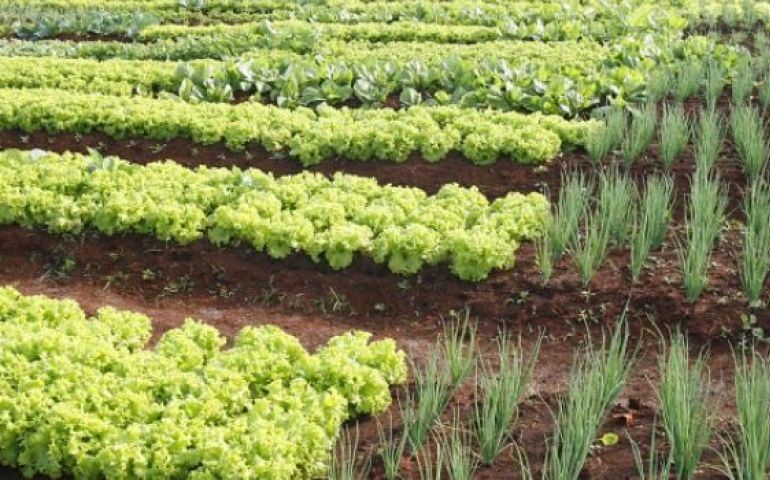 AVARÉ: PROJETO DA SECRETARIA DA AGRICULTURA ALIA CAPACITAÇÃO E RESPONSABILIDADE SOCIAL