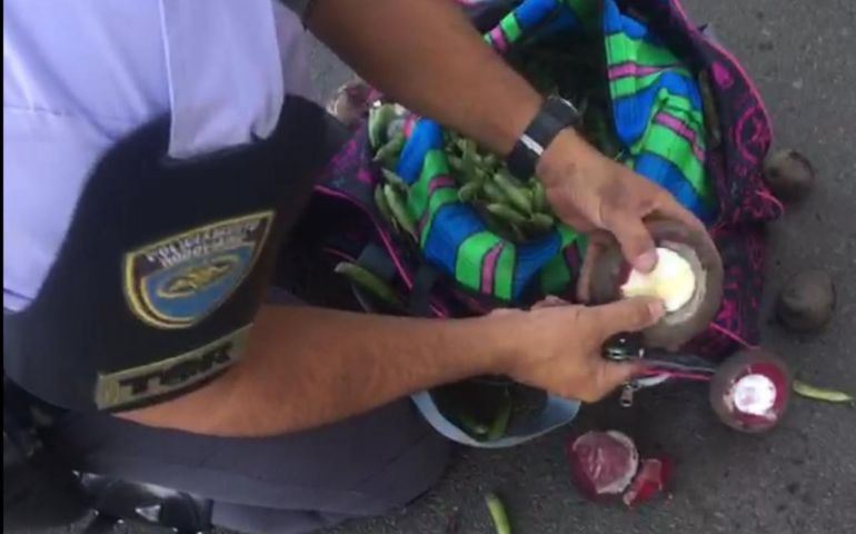 Tático Rodoviário encontra cocaína escondida dentro de beterrabas