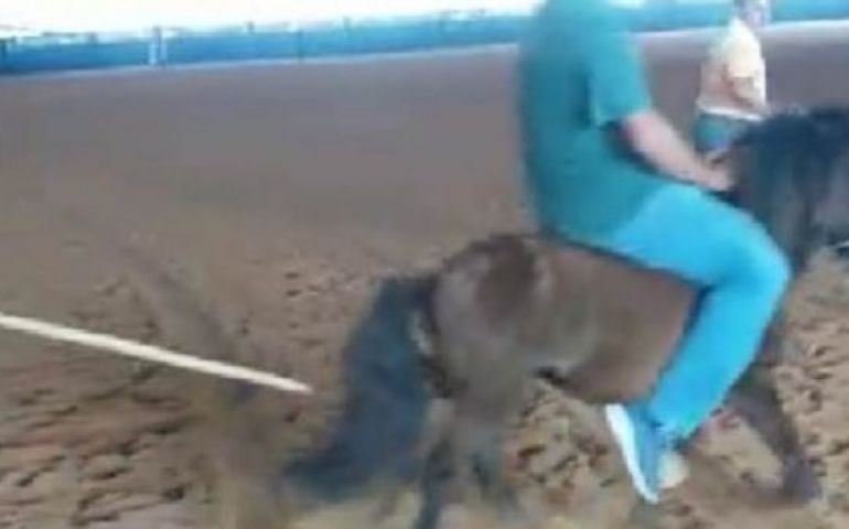 AVARÉ: CRUELDADE NA EMAPA REVOLTA E JÁ CAUSA SUSPEITAS