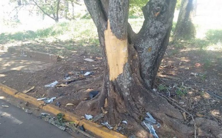 Um adolescente morreu na noite deste sábado (26) após bater o veículo em que estava em uma árvore em