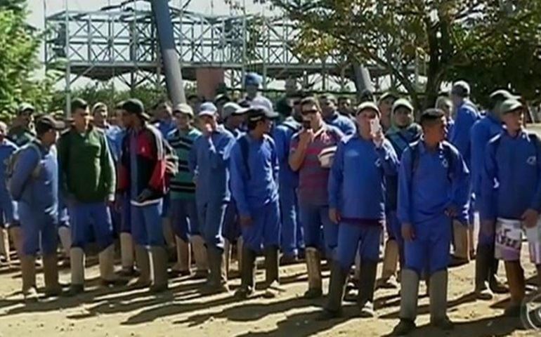 Trabalhadores rurais protestam por salários contra empresa em Avaré