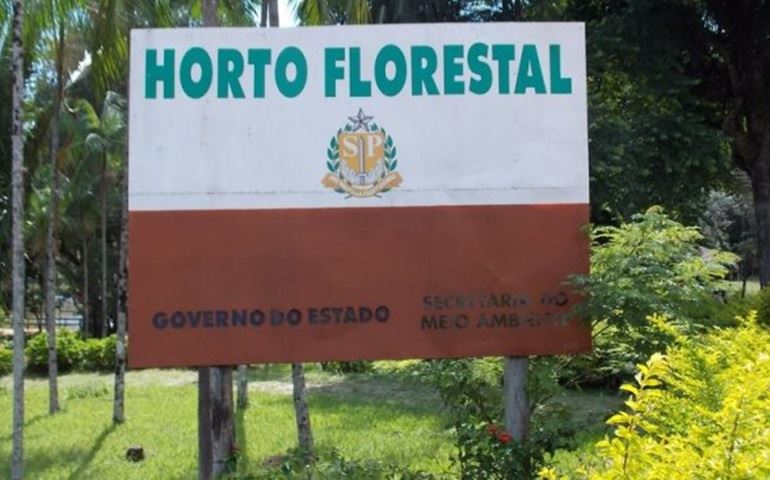 III Corrida Ecológica acontece nas trilhas do Horto Florestal