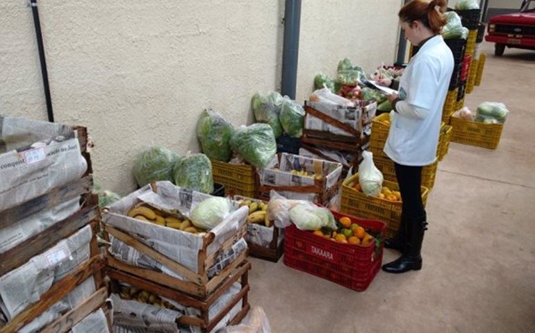 Merenda escolar valoriza a produção rural avareense