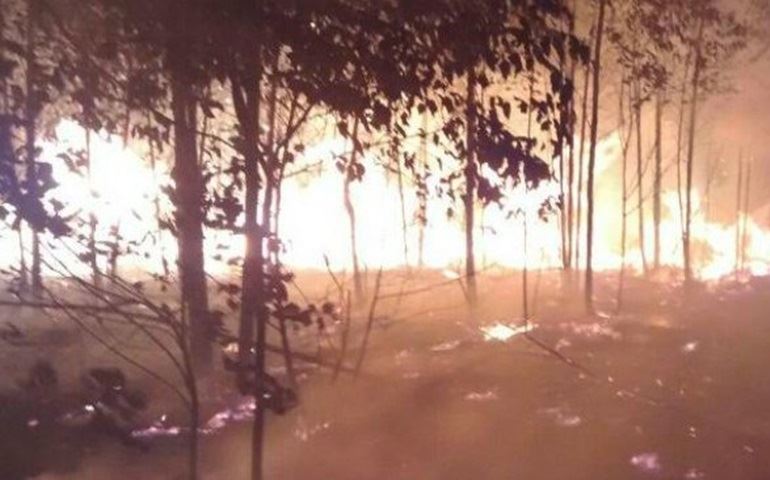 Incêndio atinge terreno de 20 mil metros quadrados em Itaí