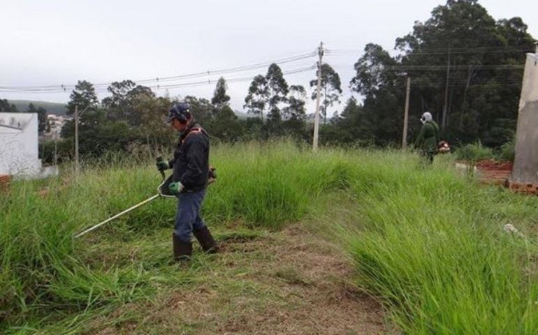 Mais de 400 lotes já foram limpos pela Secretaria de Serviços