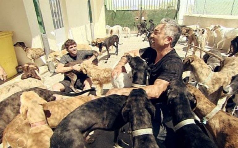 Um morador da cidade de Avaré na Rua Mato Grosso cria quarenta caes, vizinhos não suportam o barulho