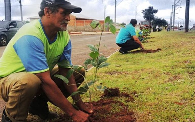 Prefeitura realiza plantio de 120 árvores
