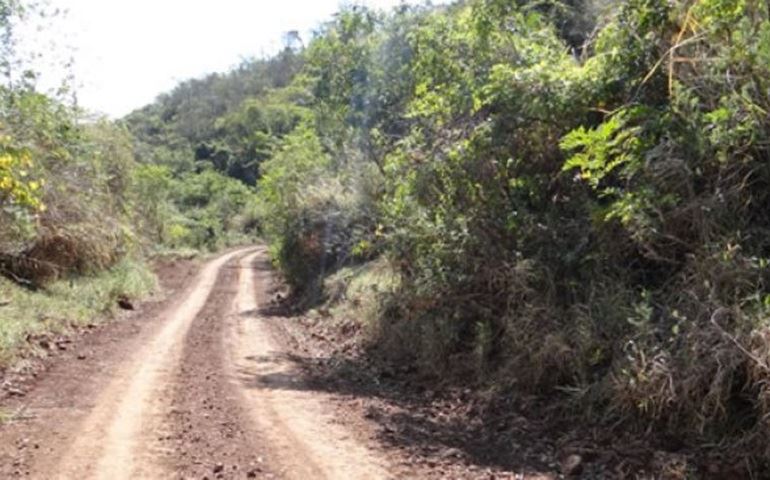 Homem é vítima de sequestro relâmpago em Botucatu
