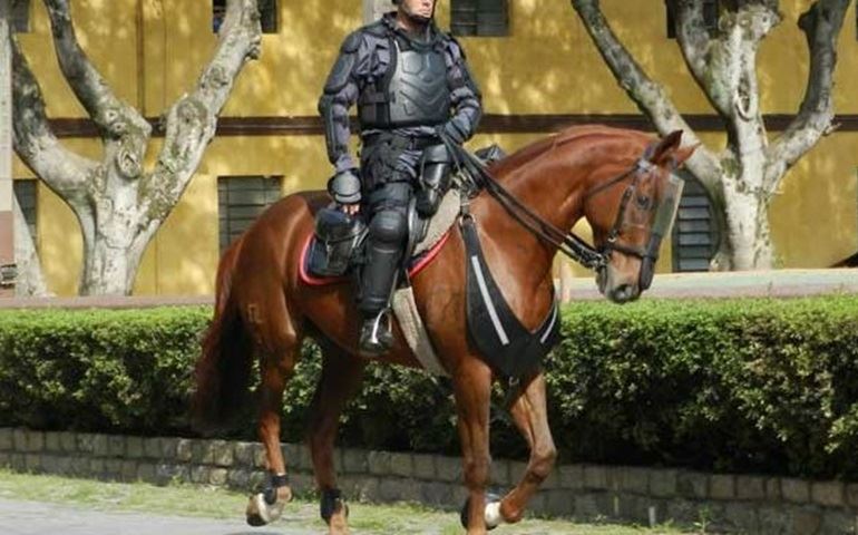 Tropa de Choque reforça proteção para cavalaria durante a Copa em SP