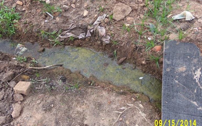 É só mais um crime ao meio ao meio ambiente em Avaré.