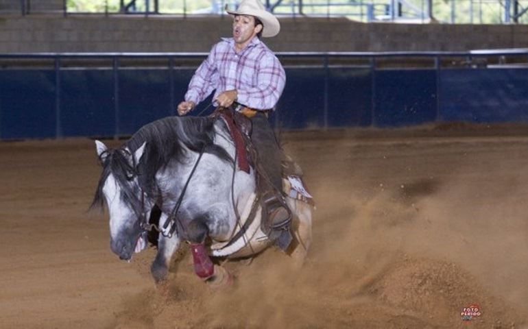 Seletiva brasileira para a Copa do Mundo do Cavalo acontece de 24 a 27/10 durante o Super Stakes de 