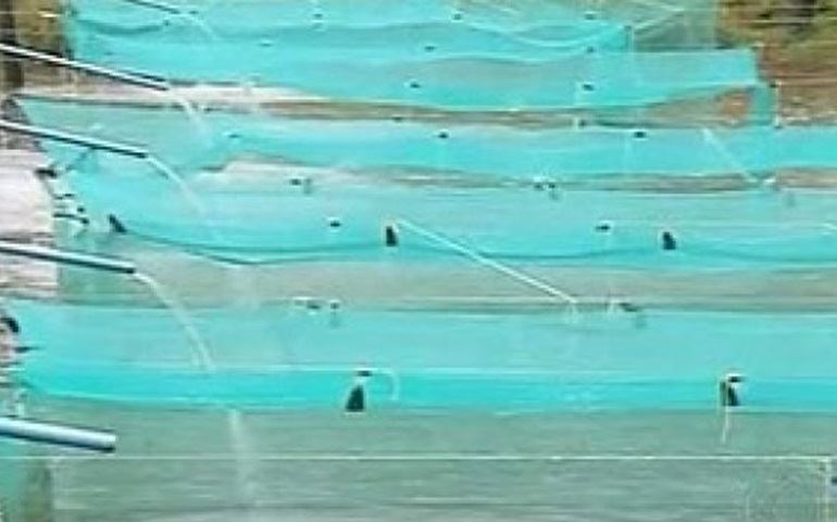 Inscrições para curso de aquicultura seguem até sábado em Avaré
