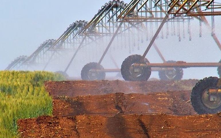 Aposta na irrigação para diminuir a dependência das condições climáticas