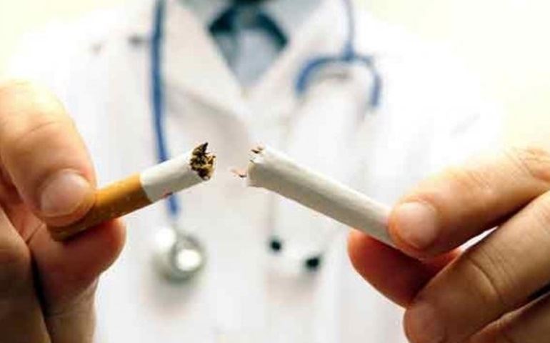 Médico veterinário explica os efeitos do cigarro na saúde dos pets