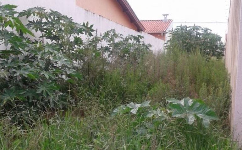 Prefeitura vai multar terrenos com mato alto