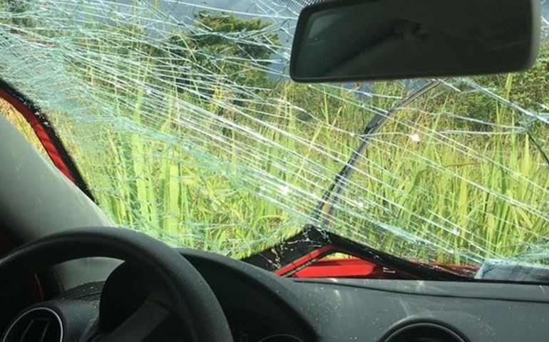Mulher pede socorro pelo WhatsApp após capotar ao desviar de cachorro