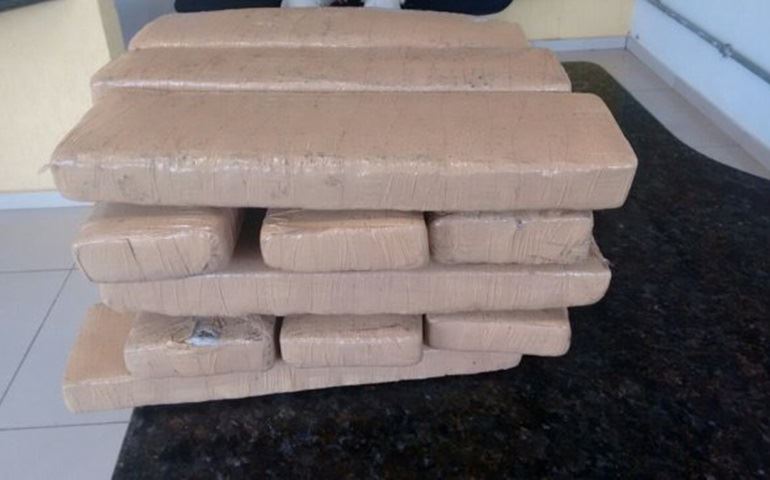 Passageiro de ônibus é flagrado com tabletes de maconha em rodovia