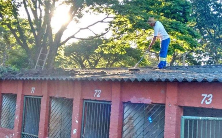 Parque de exposições passa por revitalização