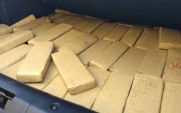 Motorista é preso com mais de 160 tijolos de maconha na Castello Branco
