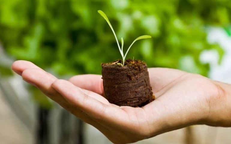 Programe-se: Encontro Técnico de Agricultura e Agronomia na AREA