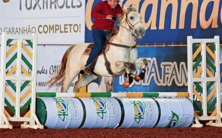 Aos 65 anos, atleta conquista importante título durante o 40º Campeonato Nacional do Quarto de Milha