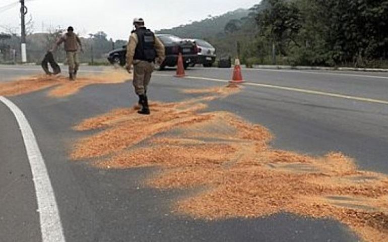 Caminhoneiro bate em poste e causa incêndio após vazamento de óleo