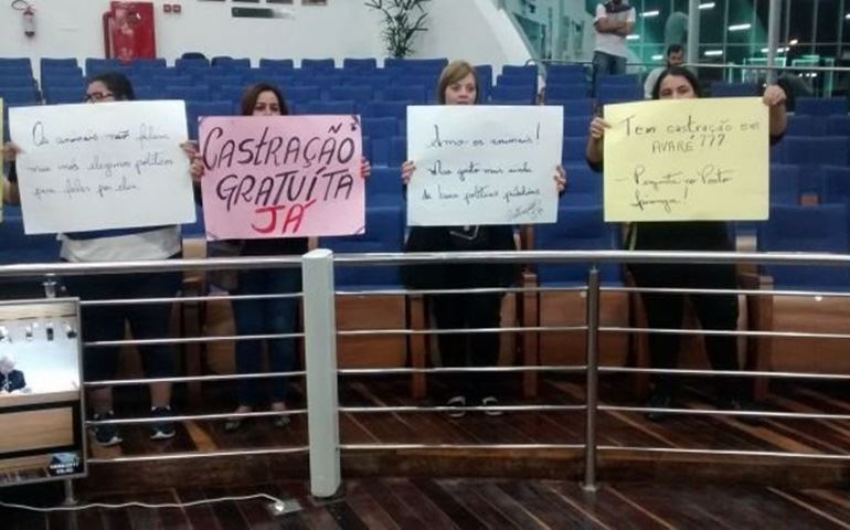 Ativistas pedem volta da castração de animais