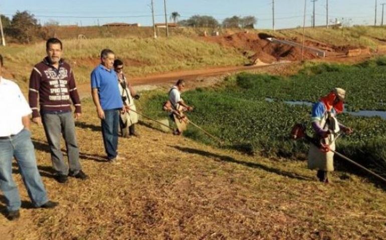 Secretário do Meio Ambiente fala sobre infestação de pernilongos na Brabância