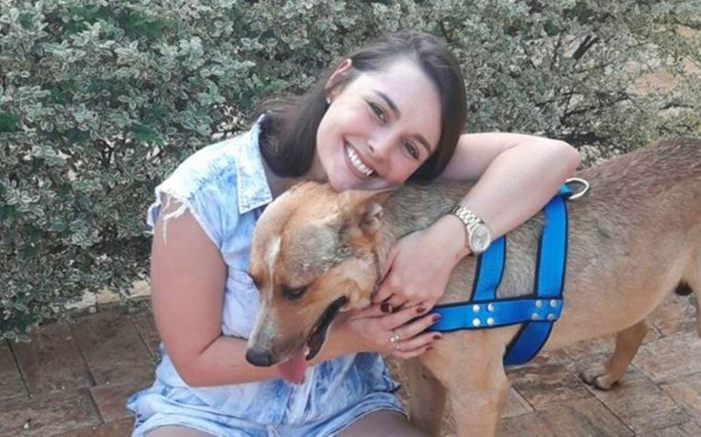 Vira-lata que invadiu casamento e deitou no véu da noiva é adotado por casal