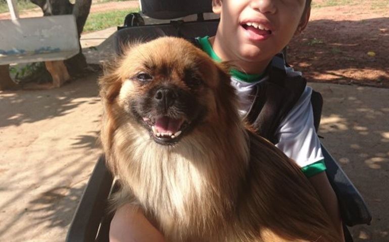 Cães voluntários interagem com alunos em terapia lúdica desenvolvida pela Apae