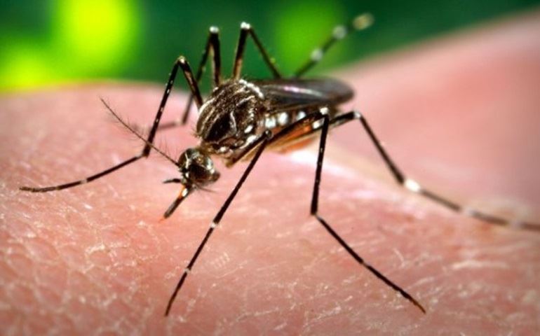 PREFEITURA DIVULGA HORÁRIOS PARA VACINAÇÃO CONTRA A FEBRE AMARELA
