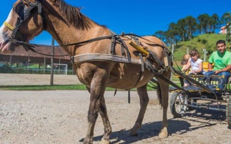 Inscrições abertas para o curso de Turismo Rural