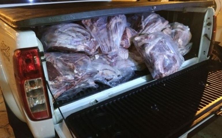 Quase 400 kg de carne inapropriada para consumo são apreendidas em transporte irregular em Avaré