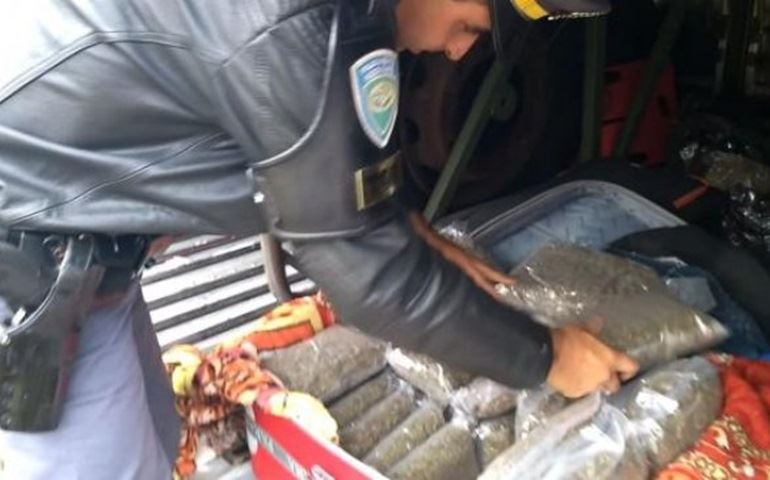 TOR apreende mulher com supermaconha na Rodovia Castello Branco