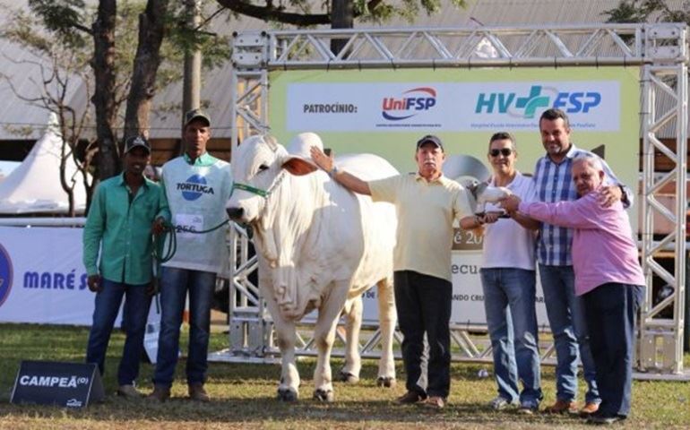 Exponel Avaré 2018: diversidade de raças e provas colaboram para o sucesso da exposição