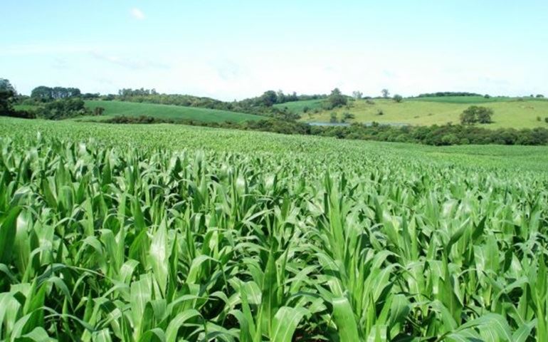 Produtores rurais da região de Itapetininga podem se inscrever no CAR até o fim de dezembro