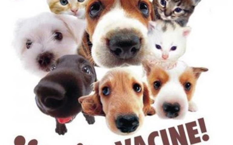 Zona Rural recebe campanha contra a Raiva Animal