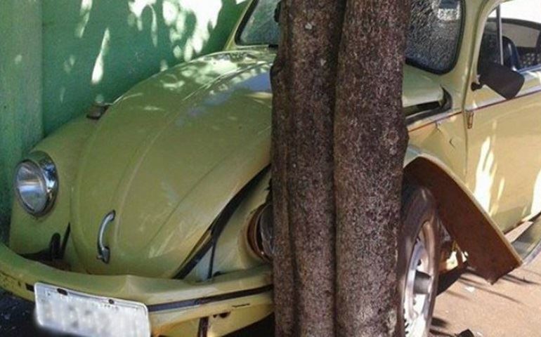 Mulher perde controle da direção e 'entala' carro entre muro e árvore