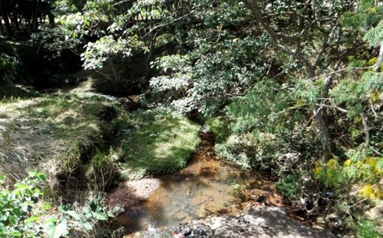 Limpeza do Ribeirão Lageado