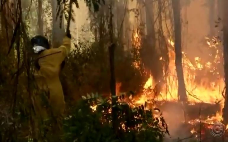 Incêndio atinge área de vegetação no horto florestal de Avaré