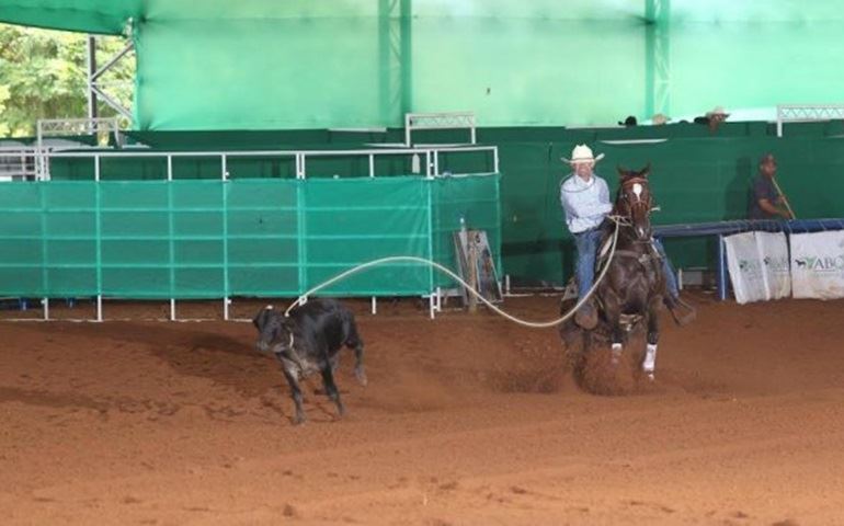 Segundo dia do Congresso Brasileiro da ABQM premia melhor tempo para a modalidade Laço de Bezerro 