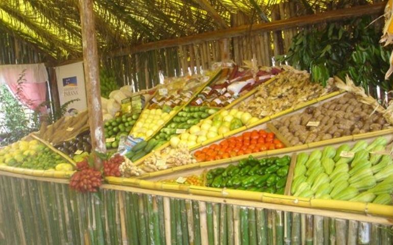 Feira agrícola é realizada em Etec de Cerqueira César; veja programação