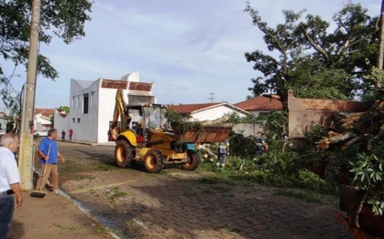 Prefeitura age na remoção de árvores arrancadas por temporal